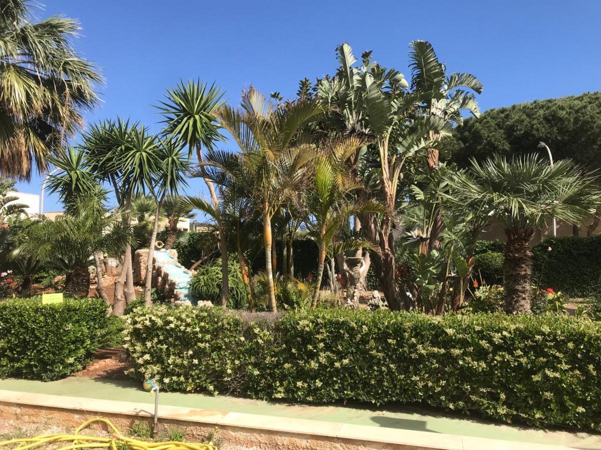 Апартаменты Le Palme Tropicali Сан-Вито-Ло-Капо Экстерьер фото